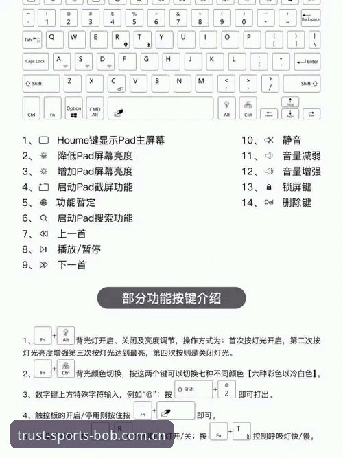 BOB半岛平台最新版v3.2.0发布：新手必看的操作指南与功能详解